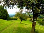 Am Naturatrail Hochwienerwald