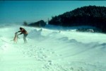 Stürmisches Schneetreiben im Wiesenwienerwald