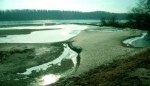 bb-niedrigwasser-an-der-donau-web-scan511