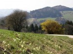 bbb-ausblick-vor-schusluckn-web-p2619