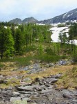 ac-grunende-larchen-im-karwasserkar-gegen-silbereckkamm-web-dscn0616