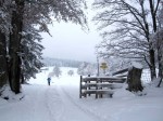 bb-am-traisenbergplateau-web-img_0315