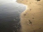 http://wandertipp.at