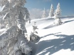 BB Eisbäume im Schneetreiben WEB DSCN2886