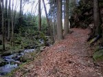 Wanderweg vor dem Ausstieg nach Oberndorf