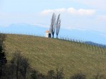 Koralpenblick von Buchkogelwarte