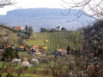 BB Wanderung zur Kapelle mit Blick zum Badacsony