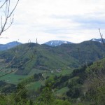 Blick zu (v.l.n.r) Hochstaff - Reisalpe - Muckenkogel - Traisner Hinteralm