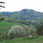 Die Steinwandleiten, auf der die Stockerhütte steht.