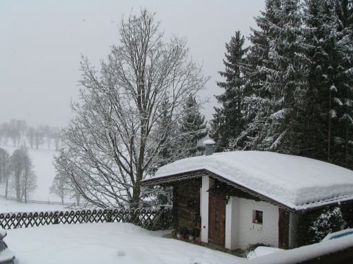 schneefall