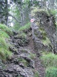 Am Steig zur Traisener Hütte