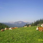 http://wandertipp.at