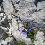 http://wandertipp.at