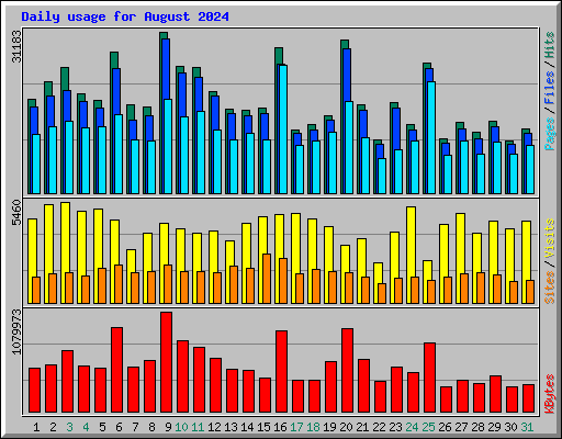 Daily usage for August 2024