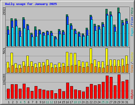 Daily usage for January 2025