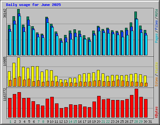 Daily usage for June 2025