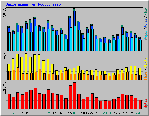 Daily usage for August 2025