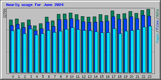 Hourly usage for June 2024