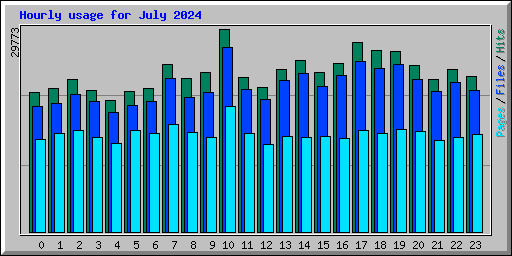 Hourly usage for July 2024