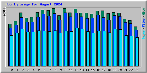 Hourly usage for August 2024