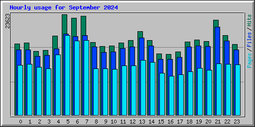 Hourly usage for September 2024