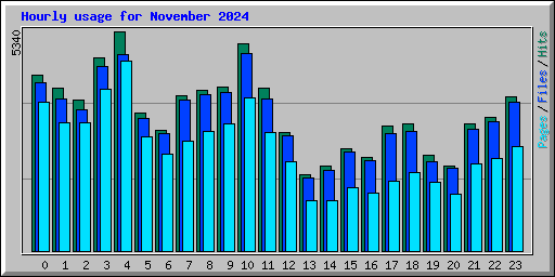 Hourly usage for November 2024