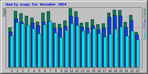 Hourly usage for December 2024