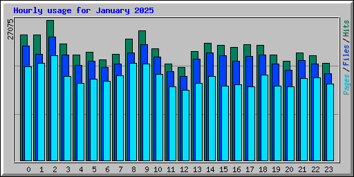 Hourly usage for January 2025