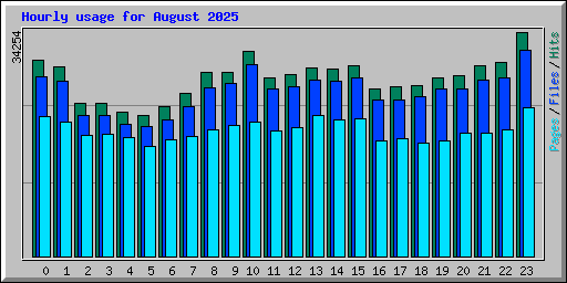 Hourly usage for August 2025