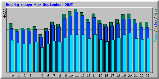 Hourly usage for September 2025