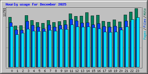 Hourly usage for December 2025