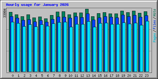 Hourly usage for January 2026