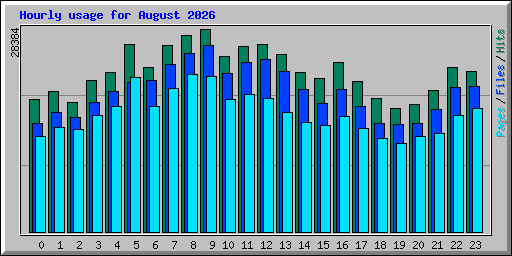Hourly usage for August 2026