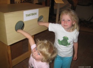 Und was steckt in der Tastbox?