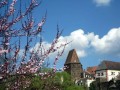 Antonturm Antonturm