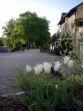 Die Promenade Die Promenade