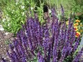 Blumenschmuck Blumenschmuck