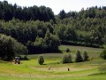 Feldarbeit