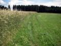 am Weg