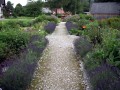 Mohn-Schaugarten