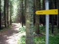 am Weg