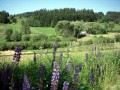 http://wandertipp.at