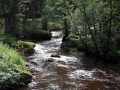 Kleiner Kamp