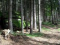 Richtung Fischerhäusl
