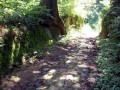 Zufahrtsweg