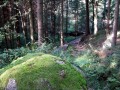 Zum Schlosssteg