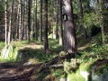 Am Antoniberg