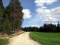 Am Weg