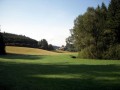 Die Wiesmühle