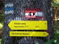 Noch 15 Minuten
